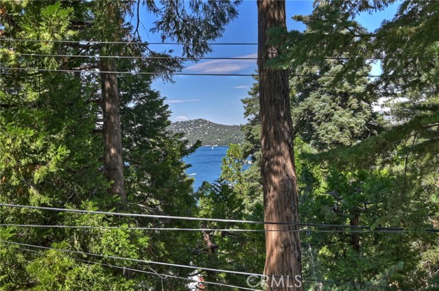 Detail Gallery Image 3 of 48 For 324 Mittry Ln, Lake Arrowhead,  CA 92352 - 2 Beds | 1/1 Baths