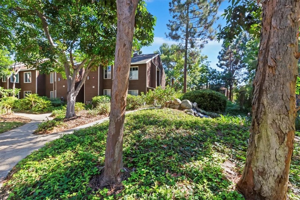 MLS #CV25230963 image #31