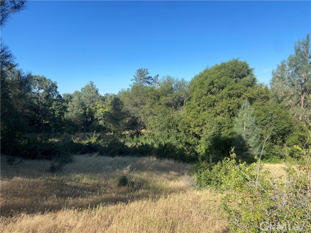 0 State Hwy 140, Mariposa CA: https://media.crmls.org/medias/fedcfa30-7842-404c-9fb9-1bdc82531da5.jpg