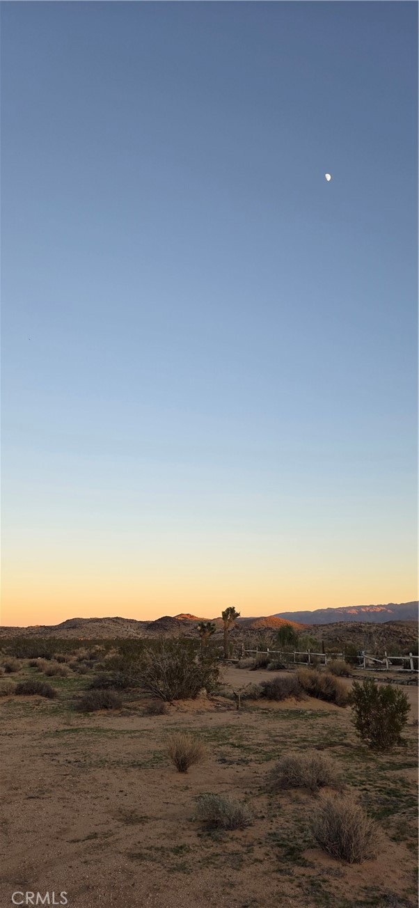 Detail Gallery Image 6 of 6 For 0 Campanula St, Joshua Tree,  CA 92252 - – Beds | – Baths