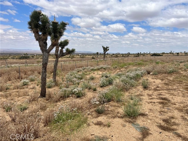 Detail Gallery Image 2 of 15 For 0 Vac/Vic Bobs Gap Rd/175 Ste, Llano,  CA 93544 - – Beds | – Baths