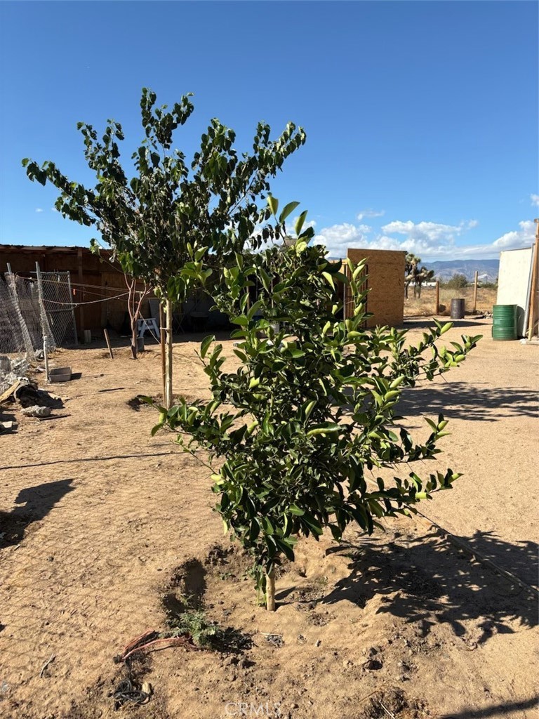 MLS #CV25224596 image #5