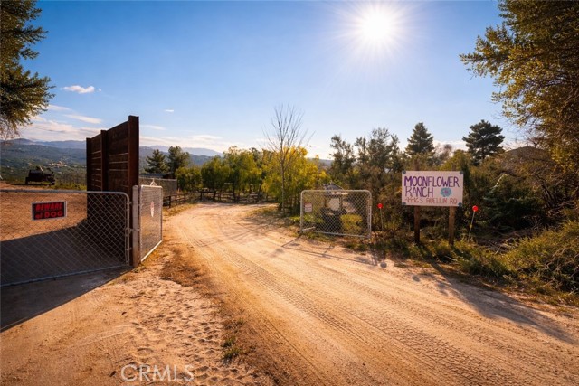 Front Image Thumbnail for CRSW26032035