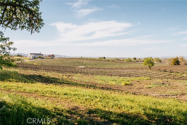Detail Gallery Image 4 of 17 For 5575 El Pomar, Templeton,  CA 93465 - 3 Beds | 3 Baths