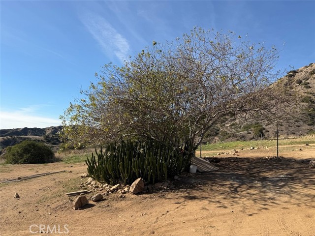 Detail Gallery Image 11 of 17 For 12159 Oro Vista Ave, Sun Valley,  CA 91040 - – Beds | – Baths