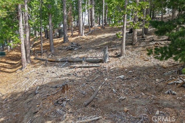 Detail Gallery Image 9 of 24 For 7486 Henness Ridge, Yosemite,  CA 95389 - – Beds | – Baths