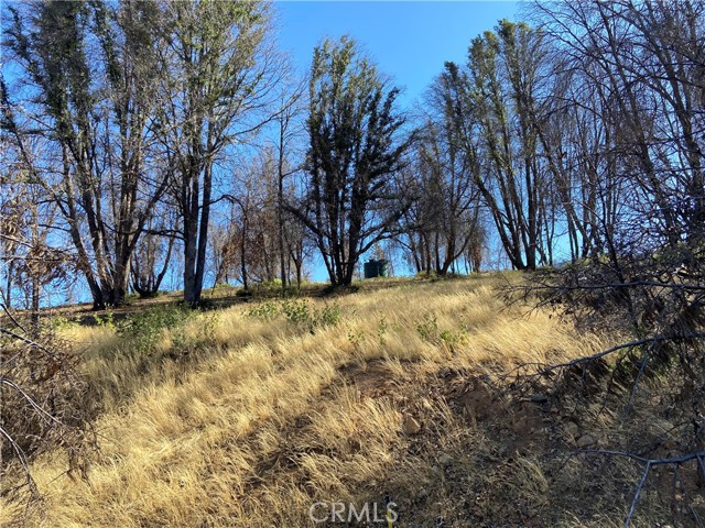 3154 Wild Dove Lane, Mariposa, California 95338, ,Land,For Sale,3154 Wild Dove Lane,CRMP23148188