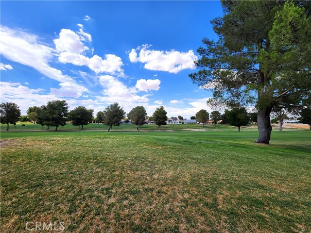 Detail Gallery Image 60 of 62 For 15178 Orchard Hill Ln, Helendale,  CA 92342 - 4 Beds | 3 Baths