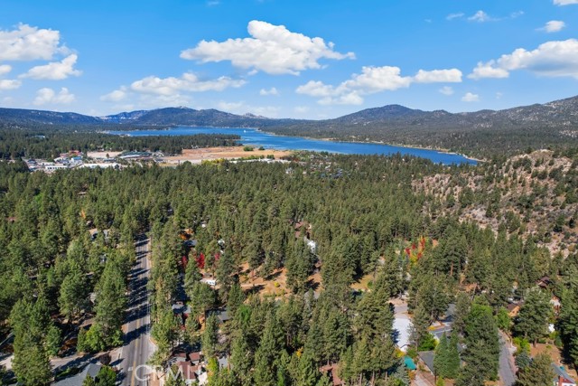 Detail Gallery Image 48 of 49 For 160 Crystal Lake Rd, Big Bear Lake,  CA 92315 - 4 Beds | 3 Baths