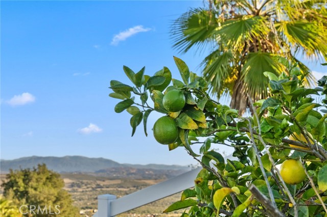 Detail Gallery Image 55 of 60 For 40055 Valle Vista, Murrieta,  CA 92562 - 4 Beds | 4 Baths