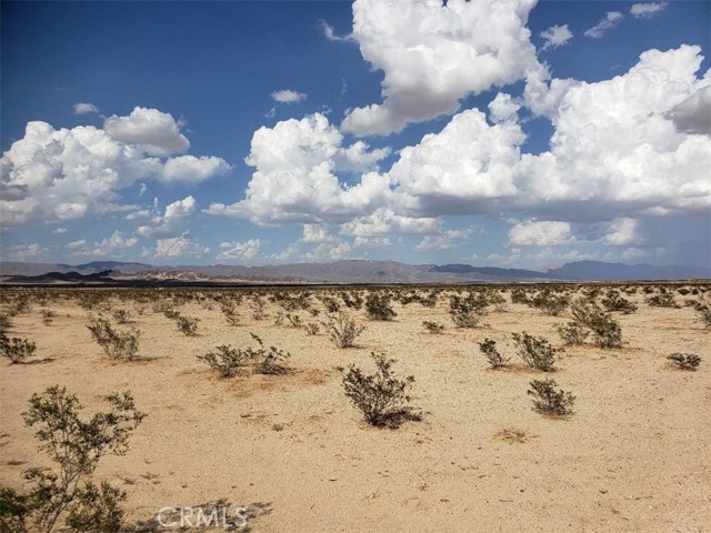 Detail Gallery Image 2 of 8 For 76938 Two Mile Rd, Twentynine Palms,  CA 92277 - – Beds | – Baths