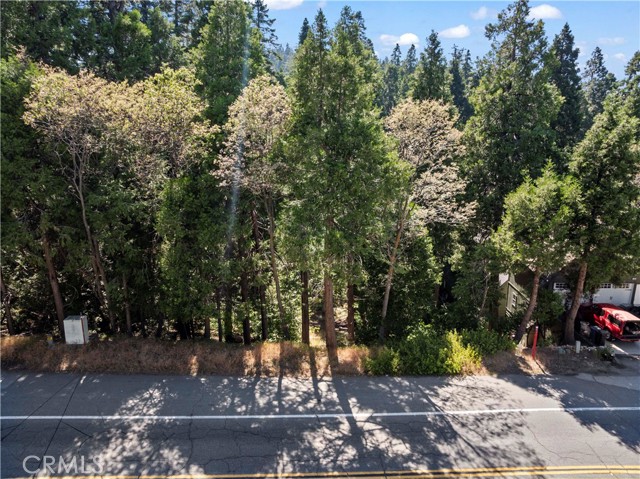 356 Ca-173, Lake Arrowhead CA: https://media.crmls.org/medias/ff0bd32b-8264-4460-a40d-35de85e031df.jpg