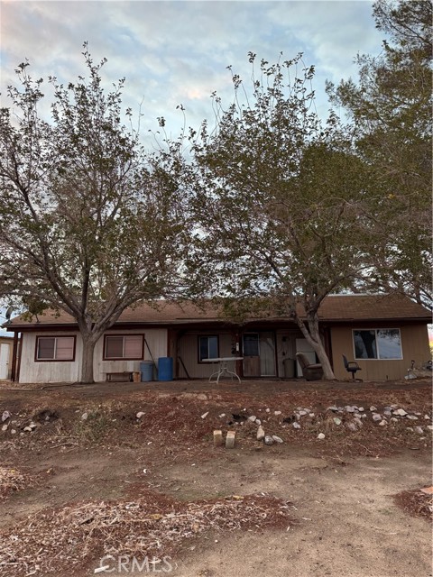 Front Image Thumbnail for CRDW25259916