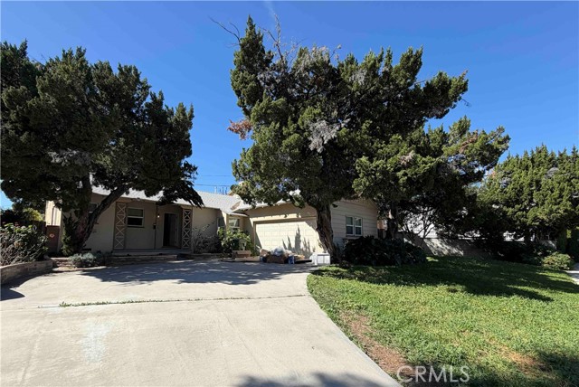 Front Image Thumbnail for CROC26054353