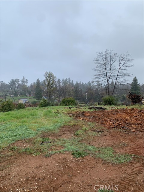 5256 Rosehill Road, Paradise, California 95969, ,Land,For Sale,5256 Rosehill Road,CRSN24050037