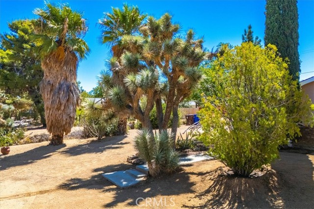 Detail Gallery Image 38 of 63 For 56469 Carlyle Dr, Yucca Valley,  CA 92284 - 2 Beds | 1 Baths