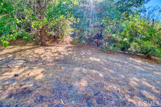 0 Flume Canyon, Wrightwood CA: https://media.crmls.org/medias/ff150aca-3a41-4888-8216-7131f815ea3d.jpg