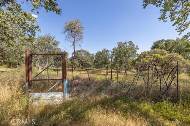 4372 Woodview Lane, Mariposa CA: https://media.crmls.org/medias/ff17b216-766c-4917-b2c5-b4f999540c75.jpg