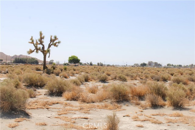 Detail Gallery Image 4 of 14 For 4 Ac Markham Ave, El Mirage,  CA 92301 - – Beds | – Baths