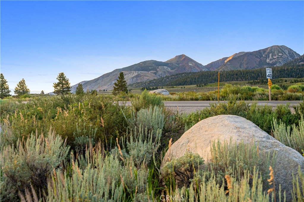 https://media.crmls.org/medias/ff1f472c-e250-433f-b578-9f00b7d6d852.jpg?preset=X-Large