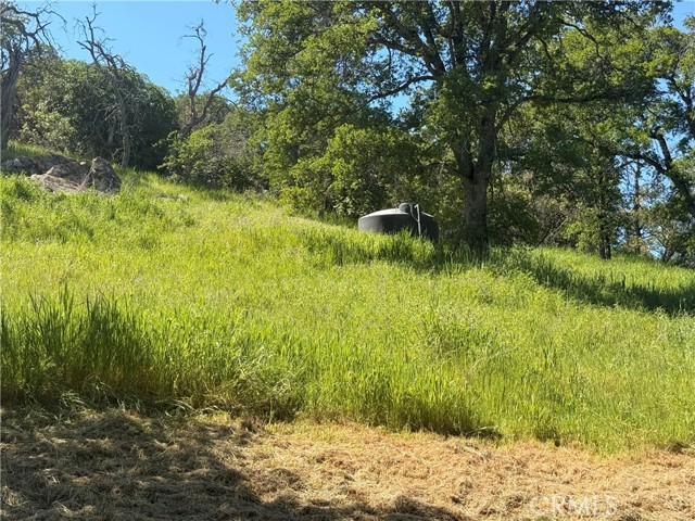 Detail Gallery Image 68 of 68 For 2877 Trower, Catheys Valley,  CA 95306 - 3 Beds | 3 Baths