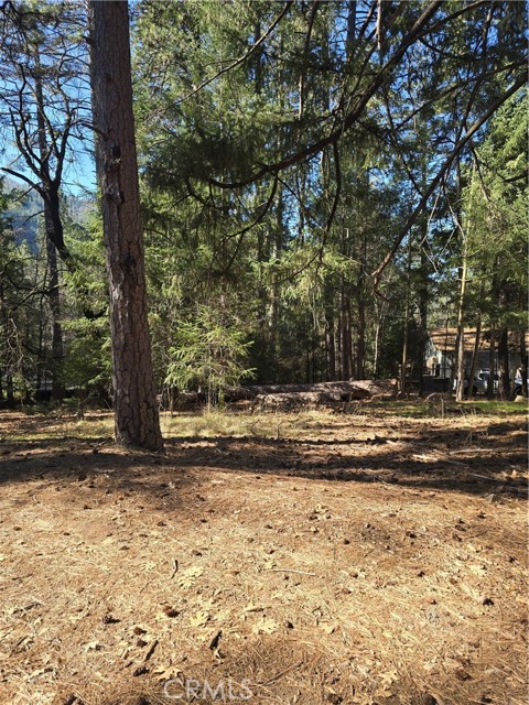 Detail Gallery Image 3 of 4 For 16303 Niblick, Cobb,  CA 95426 - – Beds | – Baths