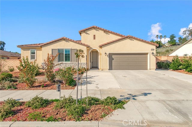 Front Image Thumbnail for CROC26017453