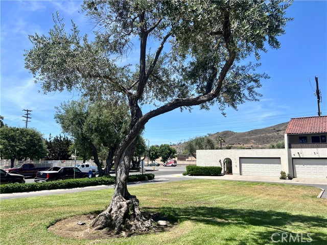 Detail Gallery Image 39 of 39 For 30813 Calle Chueca, San Juan Capistrano,  CA 92675 - 3 Beds | 2 Baths