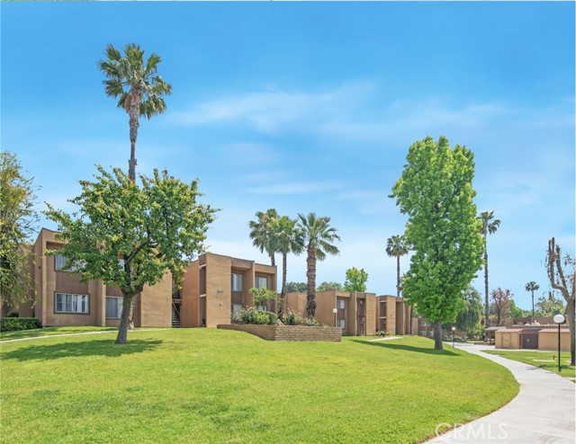 Detail Gallery Image 53 of 63 For 1066 N Orange St, Riverside,  CA 92501 - – Beds | – Baths