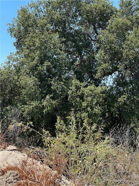 0 The Farm Rd, Wildomar, California 92595, ,Land,For Sale,0 The Farm Rd,CRSW22222726