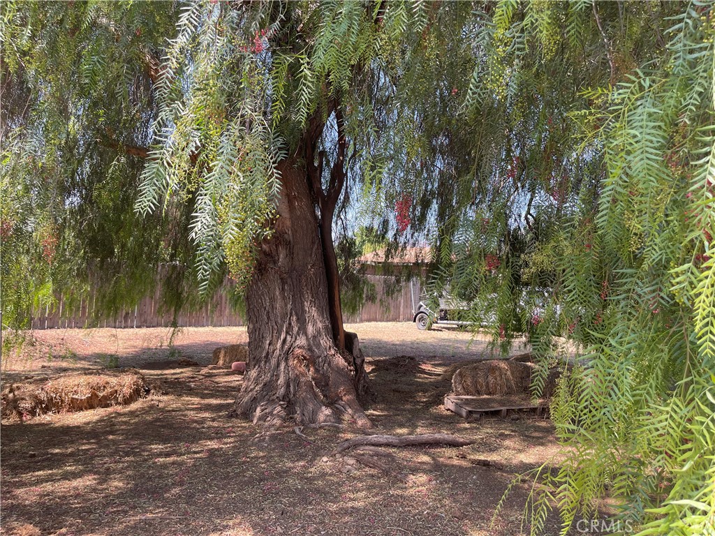 https://media.crmls.org/medias/ff384464-15ee-43ae-880c-33c956937692.jpg?preset=X-Large