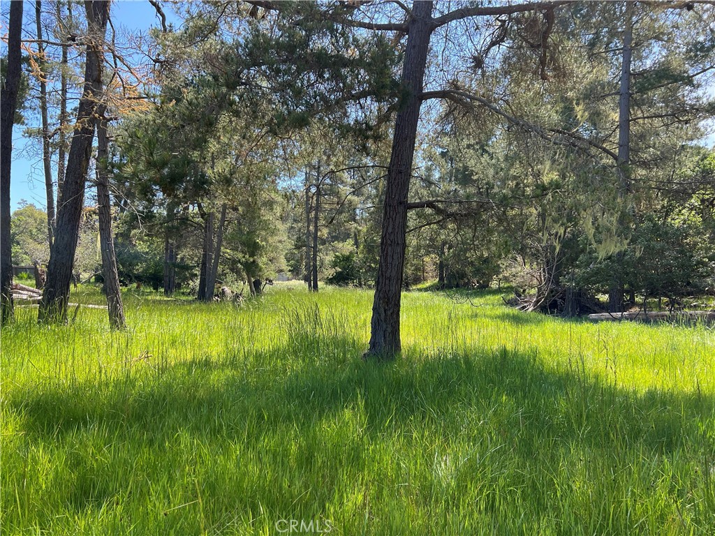 MLS #SC25087439 image #4