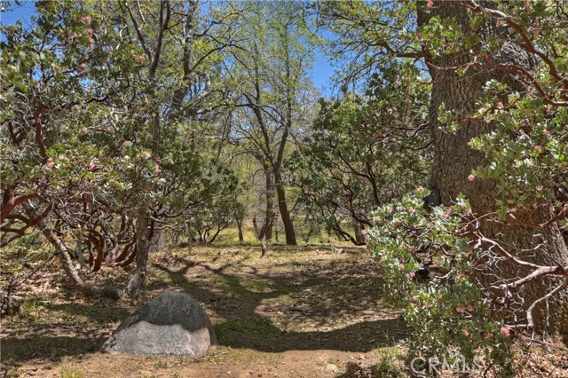 Detail Gallery Image 47 of 57 For 1249 Yellowstone Dr, Lake Arrowhead,  CA 92352 - 5 Beds | 3/2 Baths