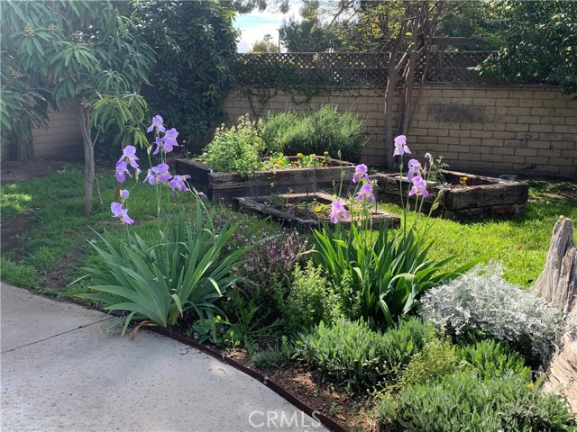 17654 Prairie Street, Northridge CA: https://media.crmls.org/medias/ff50ae21-bce9-4332-a094-d626944a52b4.jpg