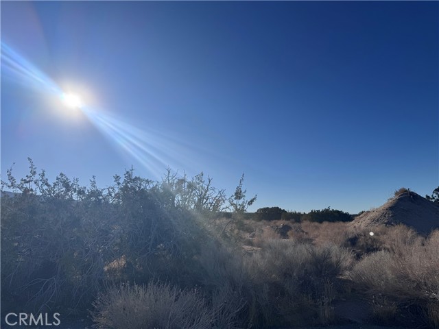 Detail Gallery Image 2 of 15 For 0 Vac/Antelope, Llano,  CA 93544 - – Beds | – Baths