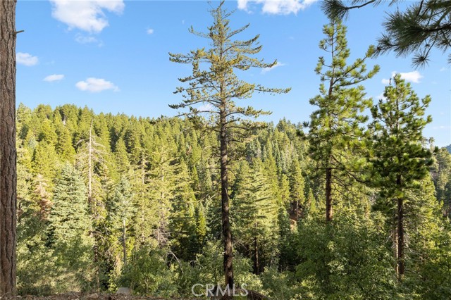 Detail Gallery Image 25 of 29 For 31661 Wagon Wheel, Running Springs,  CA 92382 - 3 Beds | 1/1 Baths