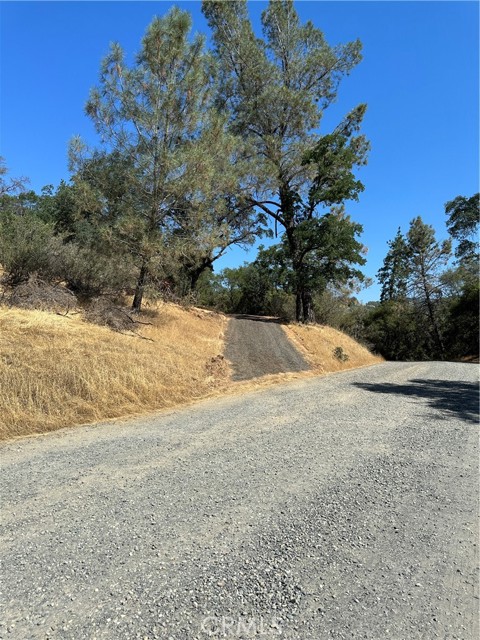 Detail Gallery Image 19 of 38 For 0 Rich Gulch Rd, Yankee Hill,  CA 95965 - – Beds | – Baths