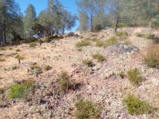 Detail Gallery Image 2 of 2 For 10070 El Capitan Way, Kelseyville,  CA 95451 - – Beds | – Baths