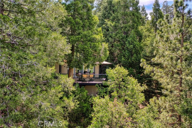 Detail Gallery Image 38 of 40 For 430 Rainier Rd, Lake Arrowhead,  CA 92352 - 4 Beds | 2/1 Baths