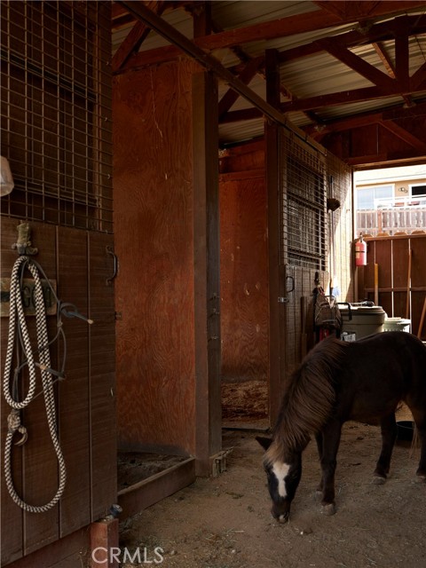 Hay & feed storage, sliding barn doors to each stall