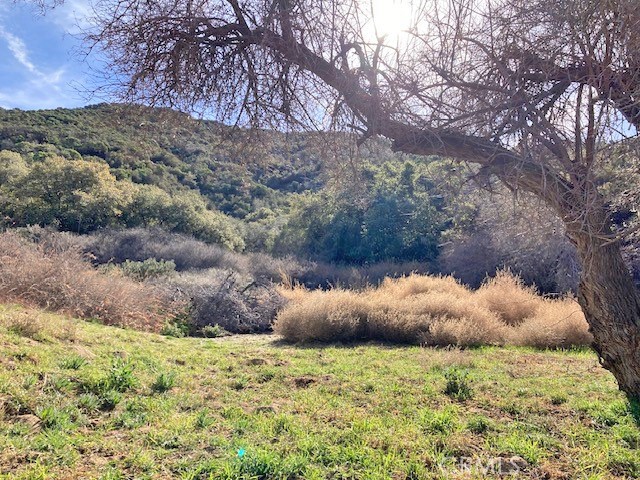 MLS #SR24004278 image #3