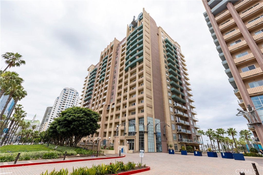 488 E Ocean Boulevard 616