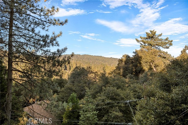 Detail Gallery Image 31 of 32 For 475 Woodsey Rd, Crestline,  CA 92325 - 3 Beds | 2 Baths