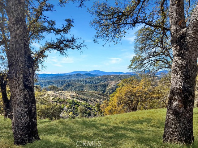 Front Image Thumbnail for CRLC25252597