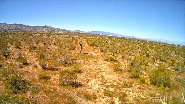 Detail Gallery Image 2 of 4 For 106 Street E, Pearblossom,  CA 93543 - – Beds | – Baths
