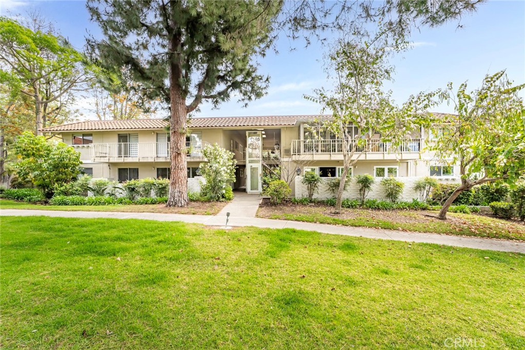 A Ronda Mendoza