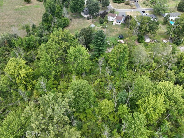 Detail Gallery Image 8 of 12 For 3860 Canal Rd, –,  NY 14559 - – Beds | – Baths