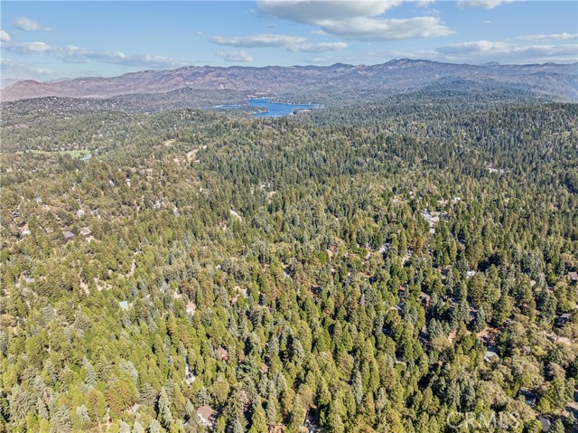 560 Rose Lane, Twin Peaks, CA 92391