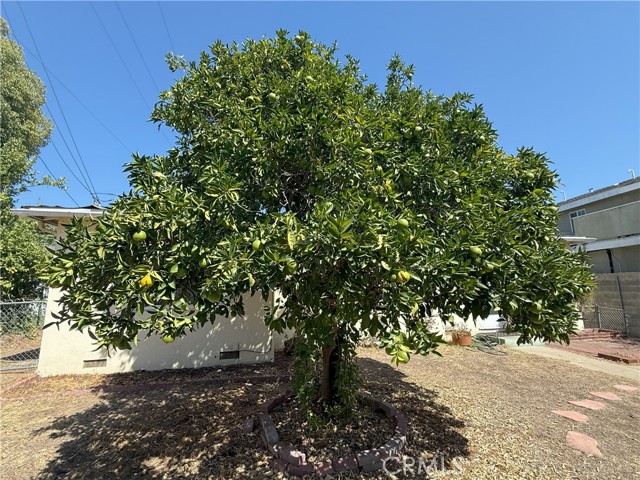 7135 Sultana Avenue, San Gabriel CA: https://media.crmls.org/medias/ffa06b23-3368-4428-b489-7d1ec79eaea5.jpg