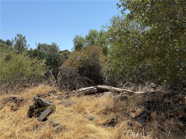 Detail Gallery Image 10 of 15 For 1 N Dome Dr, Coarsegold,  CA 93614 - – Beds | – Baths